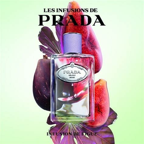 prada infusion de figue 50ml|Prada Les Infusions de Figue Eau de Parfum .